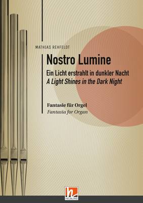 Nostro Lumine - Ein Licht erstrahlt in dunkler Nacht Einzelwerk