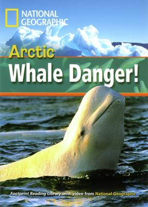 Incredible Animals Arctic Whale Danger Reader