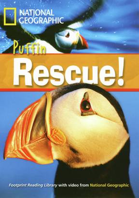 Incredible Animals Puffin Rescue! Reader