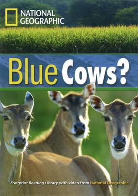 Incredible Animals Blue Cows? Reader