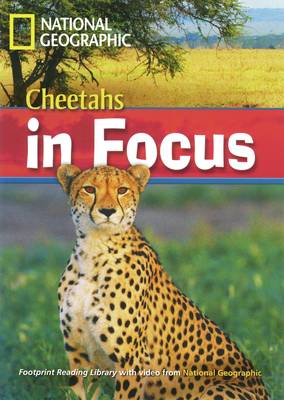 Incredible Animals Cheetahs in Focus! Reader