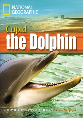 Incredible Animals Cupid the Dolphin Reader + DVD