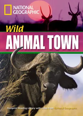 Incredible Animals Wild Animal Town Reader + DVD