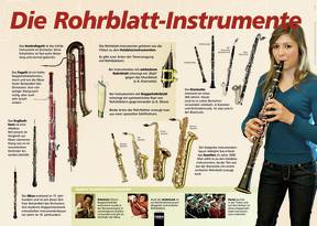 Poster Sekundarstufe: Die Rohrblatt-Instrumente