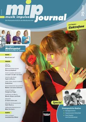 mip-journal 29/2010 Heft