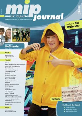 mip-journal 31 / 2011 Heft