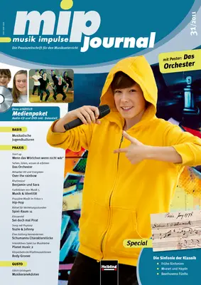 mip-journal 31 / 2011 Heft