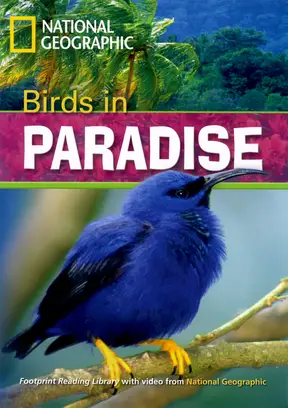 Incredible Animals Birds in Paradise Reader