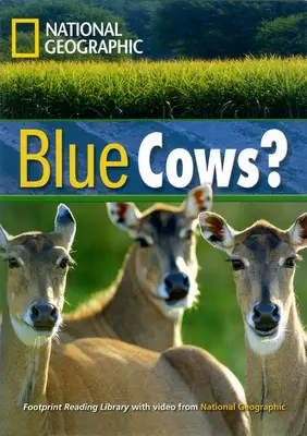 Incredible Animals Blue Cows? Reader