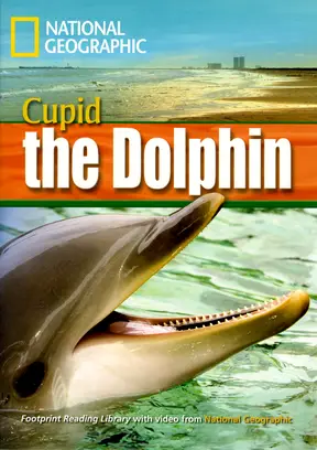 Incredible Animals Cupid the Dolphin Reader