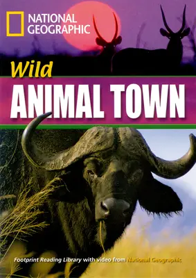 Incredible Animals Wild Animal Town Reader