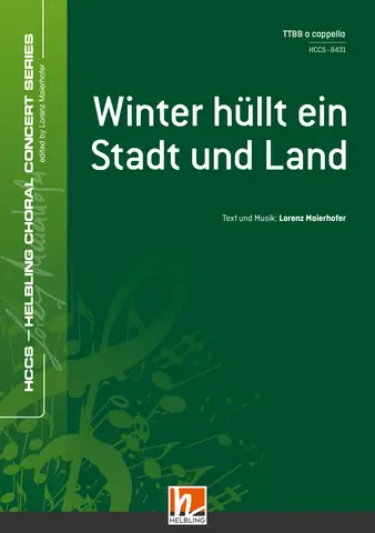 Winter hüllt ein Stadt und Land