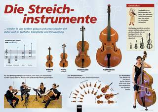 Poster Sekundarstufe: Die Streichinstrumente