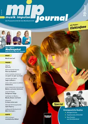mip-journal 29/2010 Heft