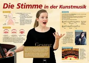 Poster Sekundarstufe: Die Stimme