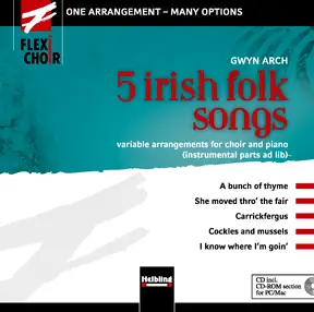 5 irish folk songs Full recordings and backing tracks