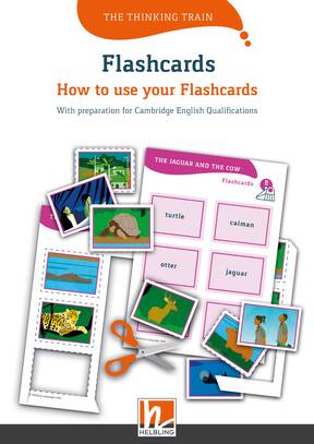 How to use your Thinking Train Flashcards